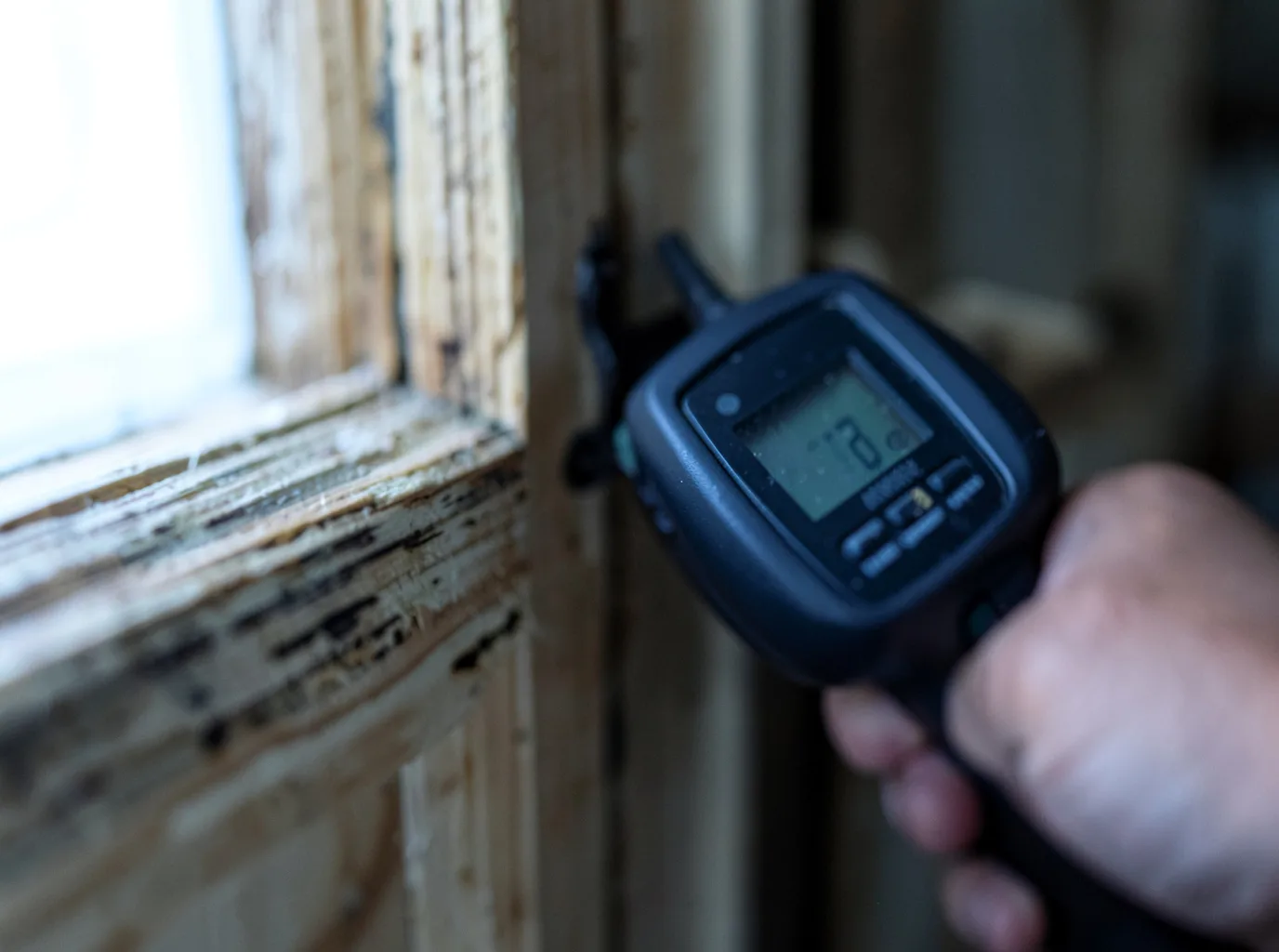 Moisture Inspection And Documentation in Seal Rock, OR